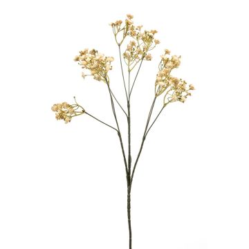 Konstgjord slöjblomma LITAGO, torkad look, beige, 70cm, Ø1,5cm Konstgjord slöjblomma LITAGO, torkad look, beige, 70cm, Ø1,5cm