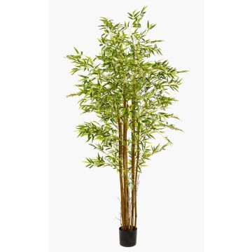 Konstgjord träd, japansk pilbambu BAKNOR, naturliga stammar, 180cm Konstgjord träd, japansk pilbambu BAKNOR, naturliga stammar, 180cm
