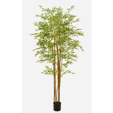 Konstgjord träd, japansk pilbambu BAKNOR, naturliga stammar, 210cm Konstgjord träd, japansk pilbambu BAKNOR, naturliga stammar, 210cm
