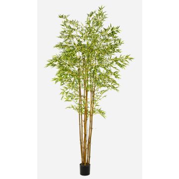 Konstgjord träd, japansk pilbambu BAKNOR, naturliga stammar, 240cm Konstgjord träd, japansk pilbambu BAKNOR, naturliga stammar, 240cm