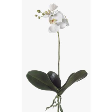 Konstgjord Phalaenopsis-orkidé FAO på pinne, vit, 45cm Konstgjord Phalaenopsis-orkidé FAO på pinne, vit, 45cm