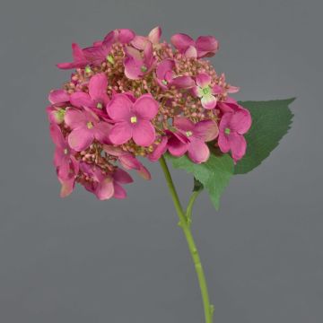 Konstgjord hortensia CALESA, cerise, 50cm, Ø15cm Konstgjord hortensia CALESA, cerise, 50cm, Ø15cm
