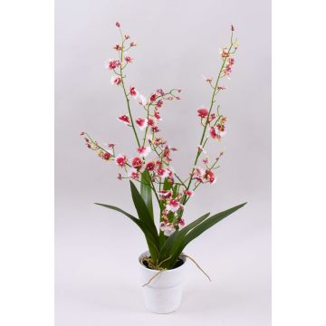 Konstgjord orkidé Oncidium YOSEPHIN i lerkruka, vit-röd, 70cm Konstgjord orkidé Oncidium YOSEPHIN i lerkruka, vit-röd, 70cm