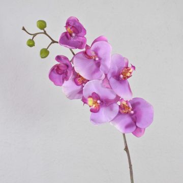 Dekorativ konstgjord Phalaenopsis-orkidé RICKY, violett, 95cm, Ø7-11cm