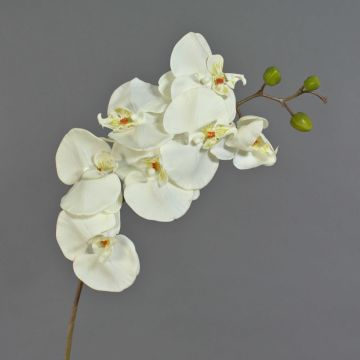 Dekorativ konstgjord Phalaenopsis-orkidé RICKY, krämfärgad, 95cm, Ø7-11cm