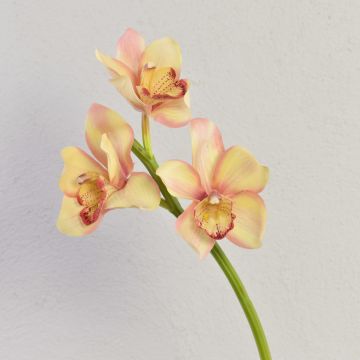 Konstgjord blomma, gren av Cymbidium-orkidé SERAPHINA, gul-rosa, 45cm, Ø10-13cm Konstgjord blomma, gren av Cymbidium-orkidé SERAPHINA, gul-rosa, 45cm, Ø10-13cm