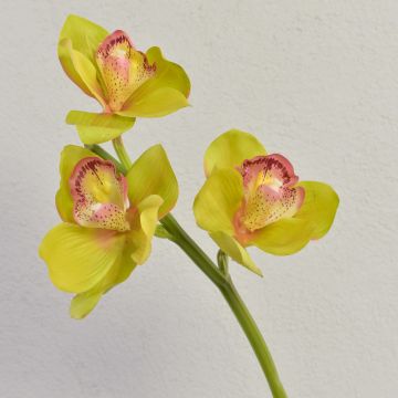 Konstgjord blomkvist, Cymbidium-orkidé SERAPHINA, grön-rosa, 45cm, Ø10-13cm Konstgjord blomkvist, Cymbidium-orkidé SERAPHINA, grön-rosa, 45cm, Ø10-13cm