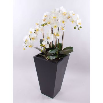 Konstgjord Phalaenopsis-orkidé WILHELMINA, träkruka, vit, 150cm