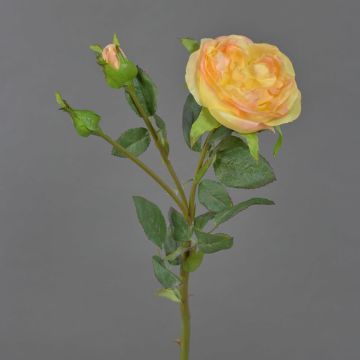 Konstgjord kålros OLIVERA, gul-aprikos, 30cm, Ø9cm Konstgjord kålros OLIVERA, gul-aprikos, 30cm, Ø9cm