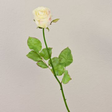 Konstgjord ros OPHELIE, krämrosa, 85cm, Ø7cm Konstgjord ros OPHELIE, krämrosa, 85cm, Ø7cm