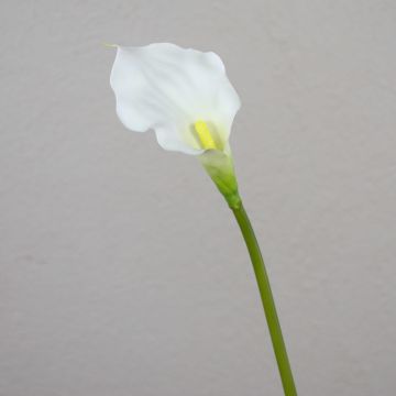 Konstgjord calla PEPITA, vit, 55cm, 7x11cm