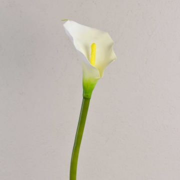 Silk calla SUSANA, white, 28"/70cm, 3.1"x4.7"/8x12cm Silk calla SUSANA, white, 28"/70cm, 3.1"x4.7"/8x12cm