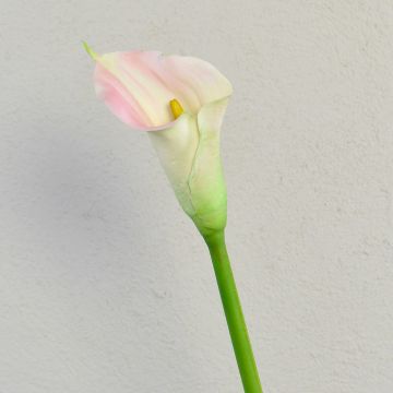 Konstgjord zantedeschia TALEA, vit-rosa, 65cm, 9x11cm Konstgjord zantedeschia TALEA, vit-rosa, 65cm, 9x11cm