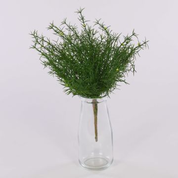 Plast Asparagus sprengeri FREDERICK, sticka, 25cm