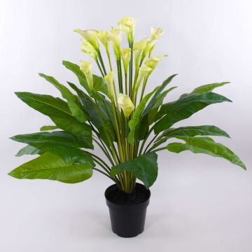 Konstblomma Zantedeschia LAURENCE, vit, 130cm, 8x13cm Konstblomma Zantedeschia LAURENCE, vit, 130cm, 8x13cm