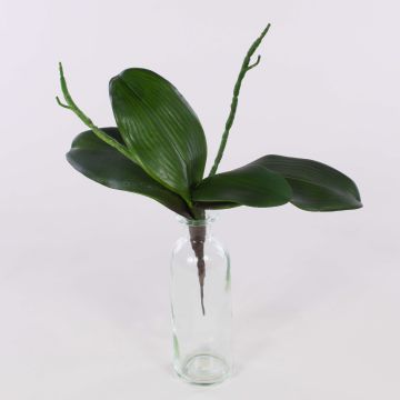Konstgjorda blad från Phalaenopsis-orkidé DORTE, luftrötter, 22x28cm Konstgjorda blad från Phalaenopsis-orkidé DORTE, luftrötter, 22x28cm