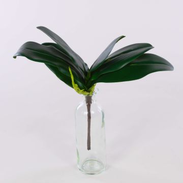 Konstgjorda blad från Phalaenopsis-orkidé DAPHI, luftrötter, 29x33cm Konstgjorda blad från Phalaenopsis-orkidé DAPHI, luftrötter, 29x33cm