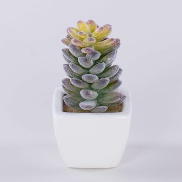 Konstgjord Pachyphytum oviferum ROBBIE, keramikkruka, grön, 13cm