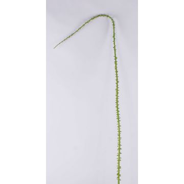 Dekorativ ros med taggig gren ALOISA, grönbrun, 180cm Dekorativ ros med taggig gren ALOISA, grönbrun, 180cm