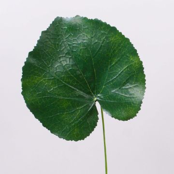 Konstgjorda pelargonblad HEIDEGARD, gröna, 38cm, Ø14cm Konstgjorda pelargonblad HEIDEGARD, gröna, 38cm, Ø14cm