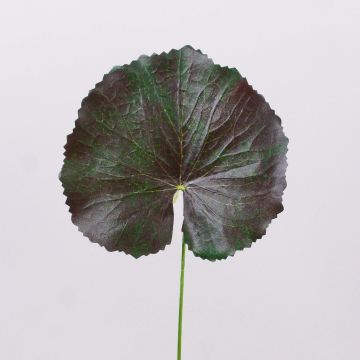 Konstgjorda pelargonblad HEIDEGARD, grön-röd, 38cm, Ø13cm Konstgjorda pelargonblad HEIDEGARD, grön-röd, 38cm, Ø13cm