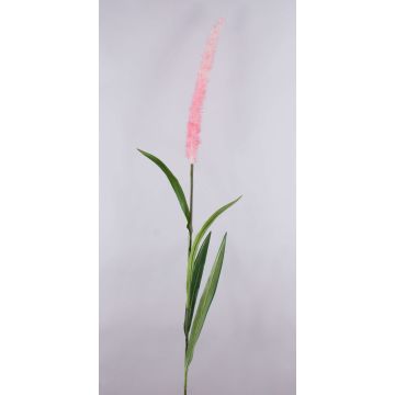 Konstgjort lampstädargräs LEBRERO med ax, rosa, 175cm Konstgjort lampstädargräs LEBRERO med ax, rosa, 175cm