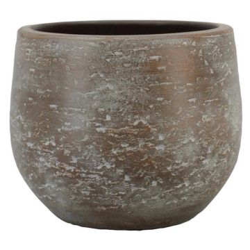 Cementkruka ASIALY med ådring, brun, 31cm, Ø36cm