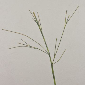 Konstgjord bambugren HARUTO, 95cm