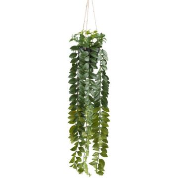 Dekorativ hängande blomsterampel Columnea SEHNDAS i dekorativ kruka, grön, 85cm