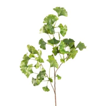Konstgjord ginkgogren BAVLEN, grön, 85cm Konstgjord ginkgogren BAVLEN, grön, 85cm