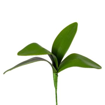 Konstgjorda blad, Phalaenopsis-orkidé TRIVLEN, stickpinne, 20cm