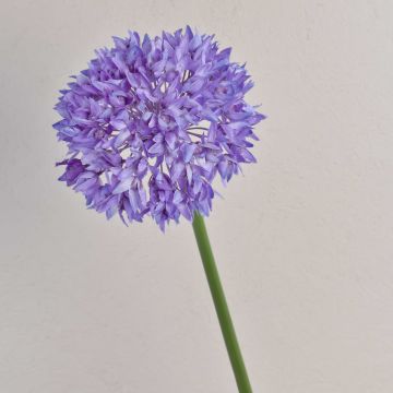 Textilblomma prydnadslök LISBETH, lila, 70cm, Ø15cm Textilblomma prydnadslök LISBETH, lila, 70cm, Ø15cm