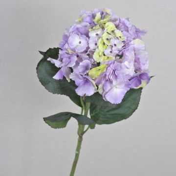 Konstgjord hortensia ANGELINA, ljusviolett-grön, 70cm, Ø23cm Konstgjord hortensia ANGELINA, ljusviolett-grön, 70cm, Ø23cm