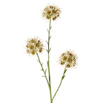 Konstgjord alliumkvist ZEBU, krämfärgad, 65cm, Ø7cm