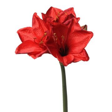 Konstgjord amaryllis BENITA, röd, 55cm, Ø10cm Konstgjord amaryllis BENITA, röd, 55cm, Ø10cm