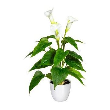 Dekorationsblomma Calla VORLIM i dekorationskruka, luftrötter, vit, 45cm Dekorationsblomma Calla VORLIM i dekorationskruka, luftrötter, vit, 45cm