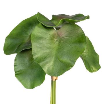 Dekorationsblad, näckros LIRVA, 5 st, grönt, 27cm Dekorationsblad, näckros LIRVA, 5 st, grönt, 27cm