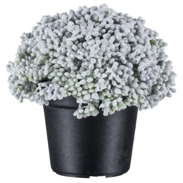Konstgjord suckulent Sedum telephium NUKEF, vit, 10cm