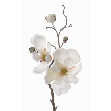 Konstgjord magnoliagren MALBINE, vit, 50cm, Ø7-10cm Konstgjord magnoliagren MALBINE, vit, 50cm, Ø7-10cm