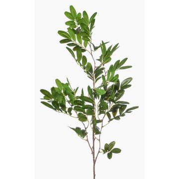 Dekorativ pistagegren WEXTOR, grön, 90cm