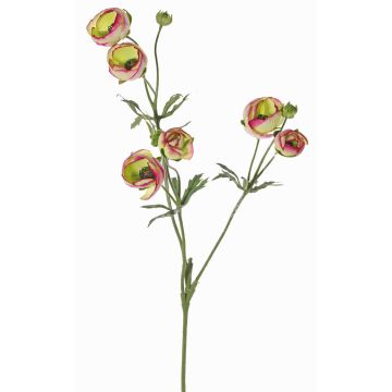 Konstgjord ranunkel YARIS, grön-cerise, 65cm, Ø3-4,5cm Konstgjord ranunkel YARIS, grön-cerise, 65cm, Ø3-4,5cm