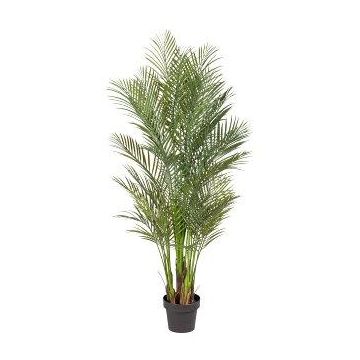 Dekorativ arecapalm URUBE i dekorativ kruka, 160cm Dekorativ arecapalm URUBE i dekorativ kruka, 160cm