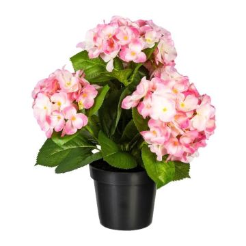 Dekorativ blomma hortensia SLORFIN i svart dekorativ kruka, rosa, 30cm Dekorativ blomma hortensia SLORFIN i svart dekorativ kruka, rosa, 30cm