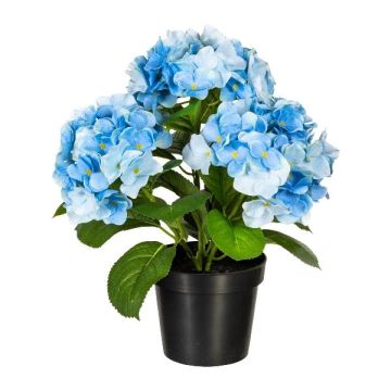 Dekorativ hortensia SLORFIN i svart dekorativ kruka, blå, 30cm Dekorativ hortensia SLORFIN i svart dekorativ kruka, blå, 30cm