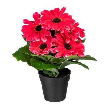 Konstblomma Gerbera KROLVEN i svart dekorativ kruka, fuchsia, 27cm