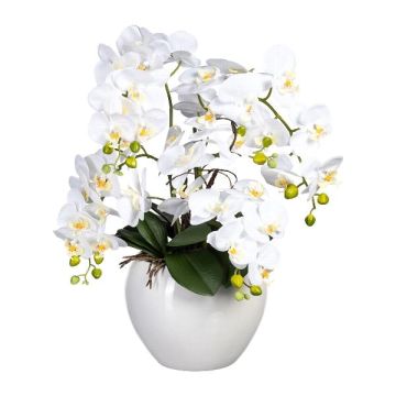 Konstblomsarrangemang med orkidé Phalaenopsis WEMBER med korkdragare, keramikkruka, rötter, vit, 55cm Konstblomsarrangemang med orkidé Phalaenopsis WEMBER med korkdragare, keramikkruka, rötter, vit, 55cm