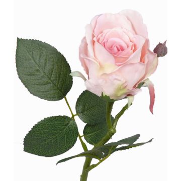 Dekorationsros VRONI, rosa, 30cm, Ø6,5cm Dekorationsros VRONI, rosa, 30cm, Ø6,5cm