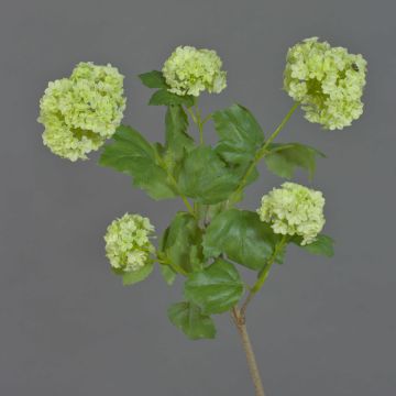 Konstgjord snöbollsgren JIVA, ljusgrön, 60cm, Ø4-7cm Konstgjord snöbollsgren JIVA, ljusgrön, 60cm, Ø4-7cm