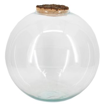 Glaskula-terrarium JABUEL med korklock, klart, 34cm, Ø35cm Glaskula-terrarium JABUEL med korklock, klart, 34cm, Ø35cm
