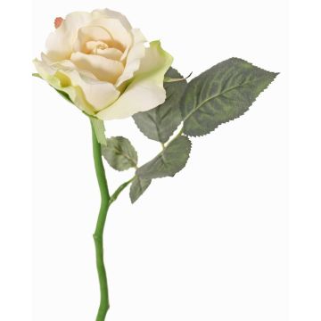 Konstgjord ros ELLI, krämrosa, 30cm, Ø6,5cm Konstgjord ros ELLI, krämrosa, 30cm, Ø6,5cm